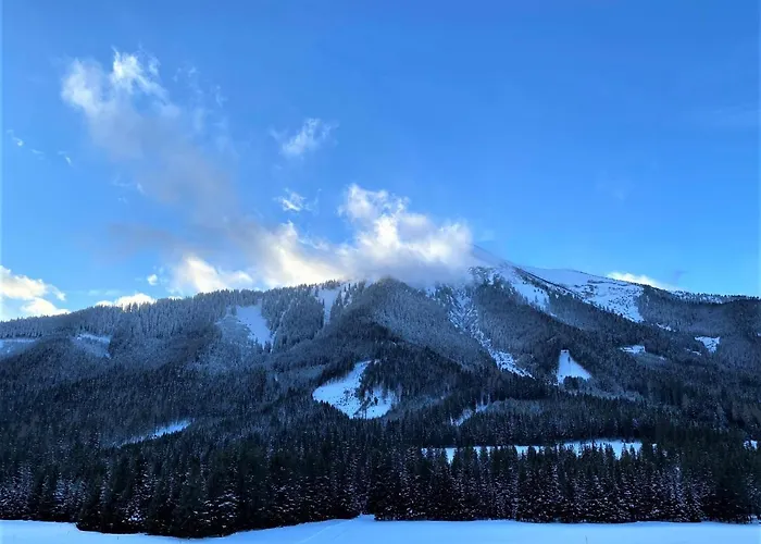 Exclusives An Der Skipiste +dampfbad +netflix Chalet *